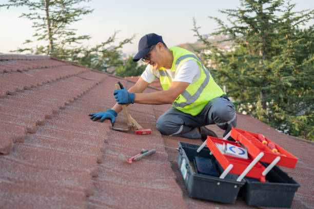 Best Residential Roofing Contractor  in Strum, WI